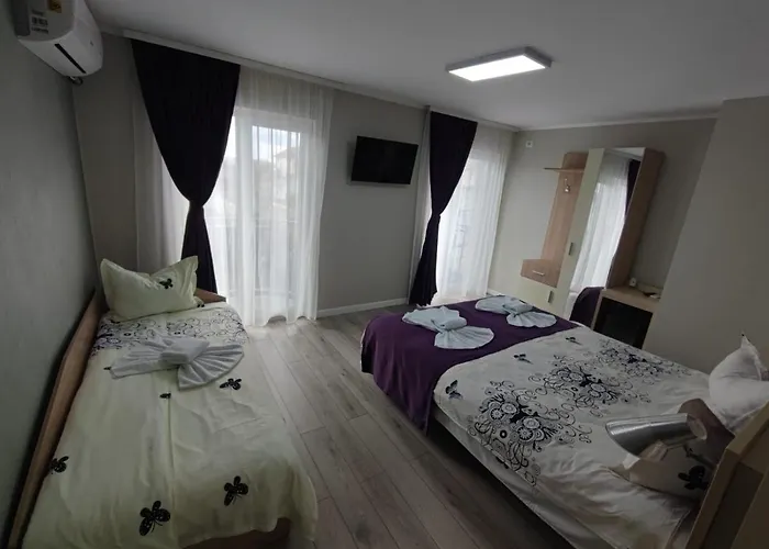 Homestay Casa Martin