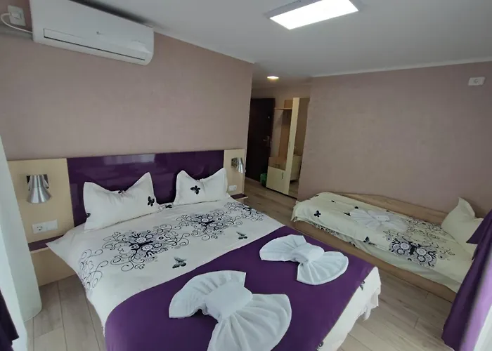 Homestay Casa Martin *