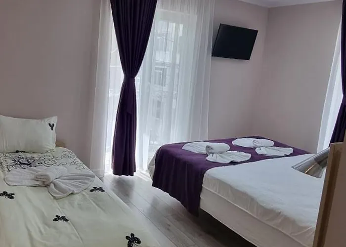 Homestay Casa Martin