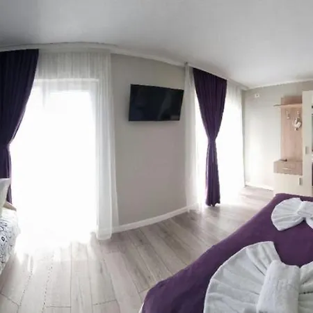 Homestay Casa Martin Sulina