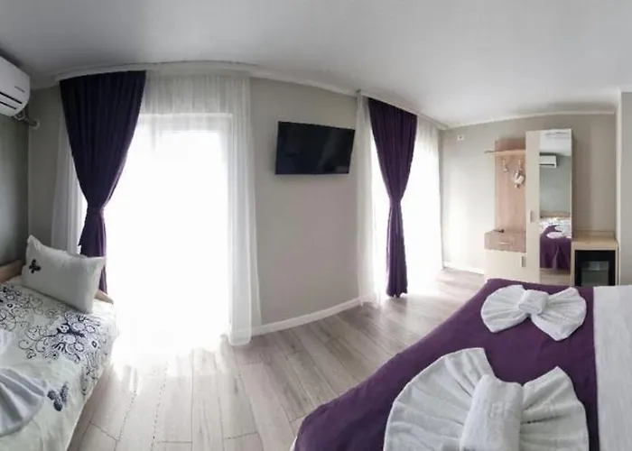 Homestay Casa Martin Sulina